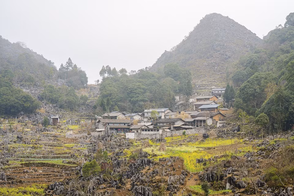 Las casas en laderas rocosas y los campos de flores de mostaza son una belleza típica de Ha Giang en primavera. (Foto: VNA)