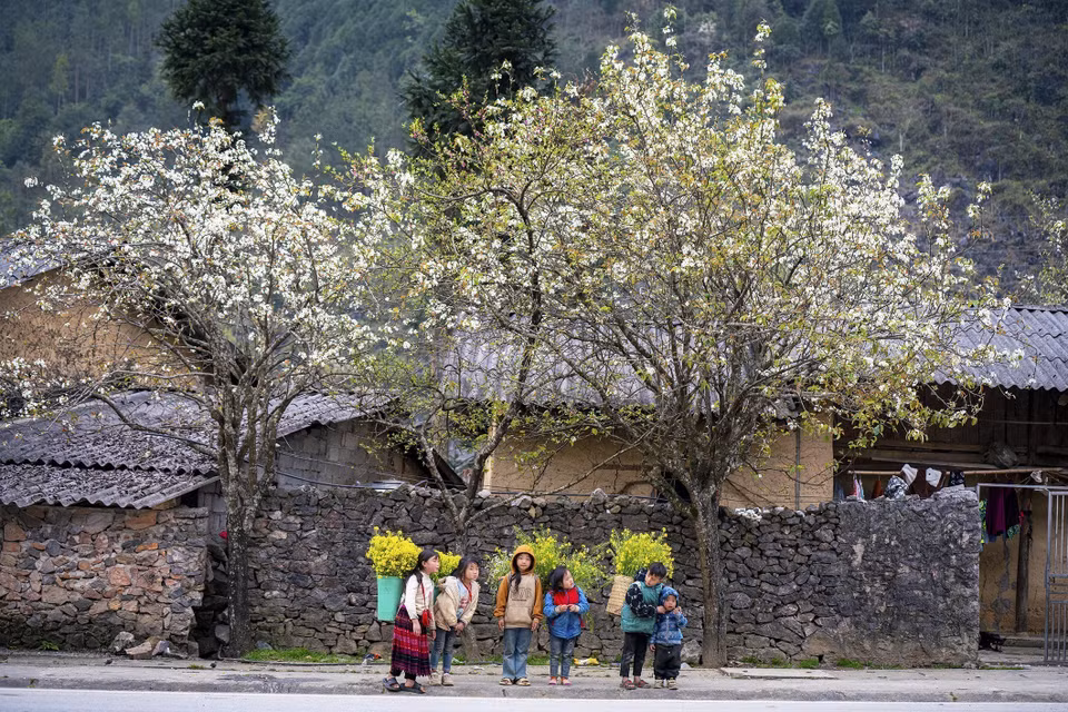 La belleza de la gente y el hermoso paisaje son lo que atrae a los turistas a Ha Giang. (Foto: VNA)