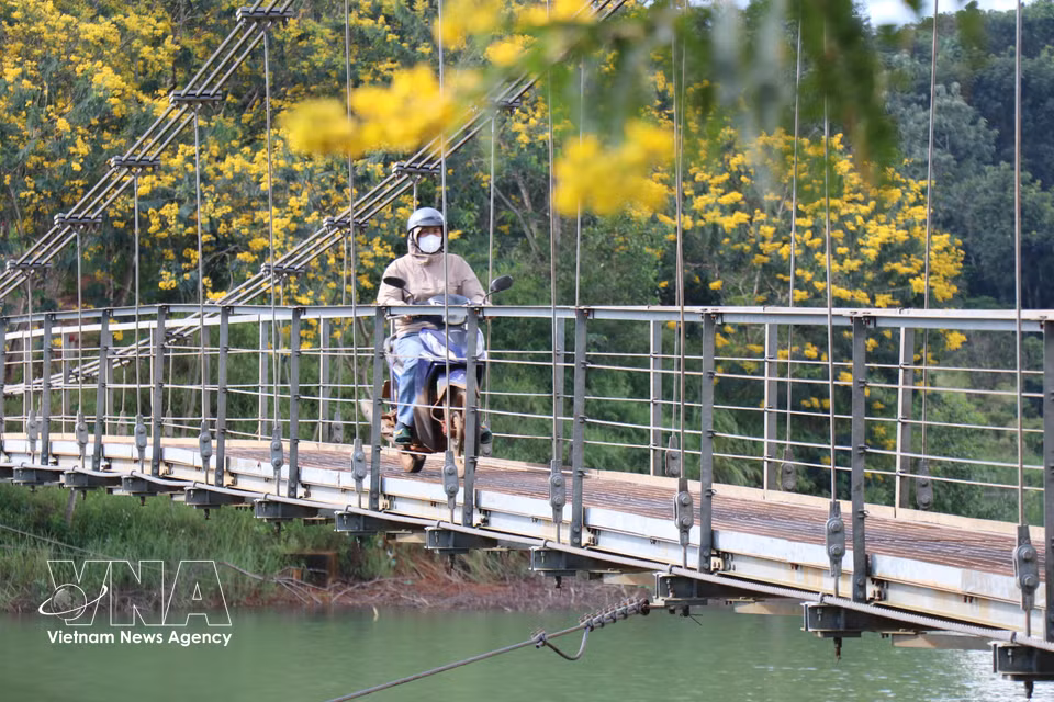 El puente colgante de Dak R’Tih se extiende sobre las aguas del lago Dak R’Tih, facilitando el desplazamiento de los residentes locales. Foto: VNA