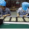 Ensamblaje de componentes electrónicos para la industria gráfica en la empresa Chee Yuen, una empresa con inversión taiwanesa (China) en el Parque Industrial An Duong. Foto: VNA