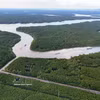 La línea de metro Ben Thanh-Can Gio discurrirá en paralelo a la carretera Rung Sac, contribuyendo a la transformación ecológica de la zona de Can Gio. (Foto: VNA)