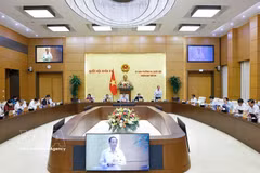 Panorama de la reunión (Foto: VNA)