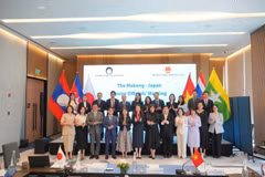 Delegados en la Reunión de Altos Funcionarios (SOM) Mekong-Japón (Foto: Ministerio de Relaciones Exteriores de Vietnam).