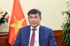 El viceministro permanente de Relaciones Exteriores, Nguyen Minh Vu. (Foto: VNA)