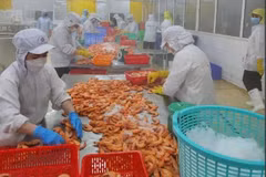 Standard Chartered pronostica un crecimiento económico positivo para Vietnam. (Foto: Vietnam+) 