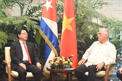 Vietnam y Cuba continúan fortaleciendo cooperación multifacética