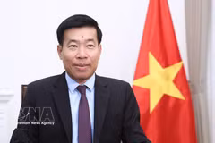 El viceministro vietnanita de Relaciones Exteriores Nguyen Manh Cuong. Foto: VNA