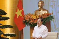 El viceprimer ministro vietnamita Pham Gia Tuc. Foto: VNA