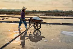 Conservando el sabor salado entre el sol y el viento del Centro de Vietnam