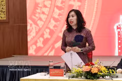 La viceministra vietnamita de Relaciones Exteriores Le Thi Thu Hang. Foto: VNA