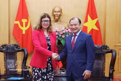 Le Hai Binh, subdirector permanente de la Academia Nacional de Política Ho Chi Minh, recibe a Silvia Danailov, representante de UNICEF en Vietnam. (Foto: VNA)