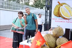 Turistas toman fotos junto al durián en un evento de Vietnam destinado a promocionar esta fruta especial, famosa por su intenso y característico sabor. Foto: VNA