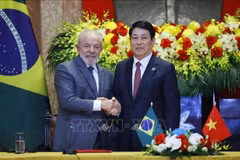 El presidente de Vietnam, Luong Cuong, y su homólogo brasileño, Lula da Silva. (Foto: VNA)