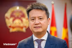El director general de la Organización Mundial de la Propiedad Intelectual (OMPI), Daren Tang. (Foto: Vietnam+)