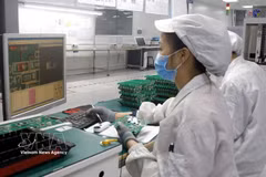 Trabajadores del sector de semiconductores. (Fuente: VNA)