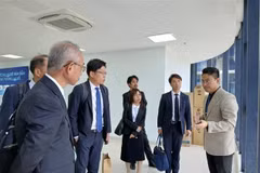 Empresas japonesas visitan y conocen el ecosistema de startups e innovación en el Parque de Software n.º 2 de Da Nang. (Foto: VNA)