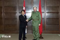 La reunión entre el presidente de Vietnam, Tran Duc Luong y el Comandante en Jefe Fidel Castro en abril de 2000 (Foto: VNA)