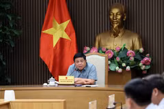 El viceprimer ministro Nguyen Chi Dung habla en la reunión (Foto: VNA)