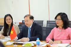 El viceministro de Cultura, Deportes y Turismo de Vietnam, Ta Quang Dong (centro), preside la reunión de trabajo con el presidente de la Comisión Estatal de Azerbaiyán para Asuntos de la Diáspora. (Foto: Ministerio de Cultura, Deportes y Turismo de Vietnam)