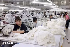 El Banco Mundial incluye a Vietnam entre las 21 economías con un desempeño sobresaliente en 2025. (Foto ilustrada: VNA) 