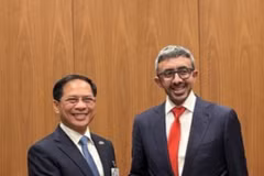 El viceprimer ministro vietnamita Bui Thanh Son se reúne con el vicepremier y ministro de Relaciones Exteriores de Emiratos Árabes Unidos (EAU), Sheikh Abdullah bin Zayed Al Nahyan. (Foto: VNA)