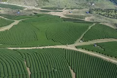 Desarrollo de las economía verde y circular 