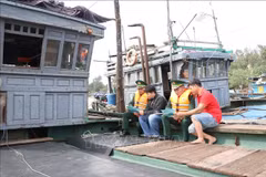 Misión de la CE evaluará esfuerzos de Vietnam contra la pesca ilegal en marzo