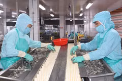 Actualidad: Vietnam registra un sólido crecimiento económico en primer semestre