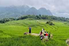 La zona turística comunitaria de Pu Luong (Thanh Hoa) atrae a turistas nacionales e internacionales. (Foto: VNA)