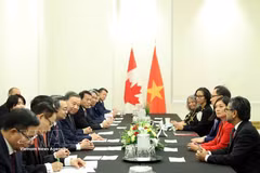 El secretario general del Partido Comunista de Vietnam y presidente de la República, To Lam, sostiene un encuentro con el Grupo Parlamentario de Amistad Canadá-Vietnam. Foto: VNA