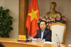 El viceprimer ministro Tran Hong Ha habla en la reunión. (Foto: VNA)