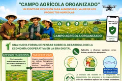 "Campo agrícola organizado": Un punto de inflexión en la revalorización de los productos agrícolas
