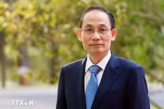 El ministro de Asuntos Exteriores de Vietnam, Le Hoai Trung. (Foto: VNA)