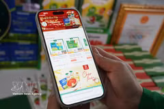 Las compras en línea se han convertido en un hábito entre los consumidores. (Foto: VNA)