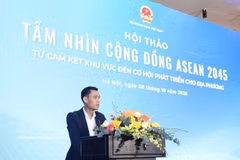 El viceministro de Relaciones Exteriores Dang Hoang Giang habla en el evento. Foto: VNA