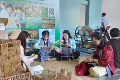 Producción de artesanía según el modelo de economía verde. (Foto: nhandan.vn)