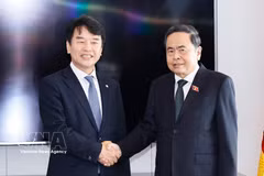 El presidente de la Asamblea Nacional de Vietnam, Tran Thanh Man, (derecha) y el presidente del Grupo Parlamentario de Amistad Corea del Sur-Vietnam, Moon Jin Seok. (Foto: VNA)