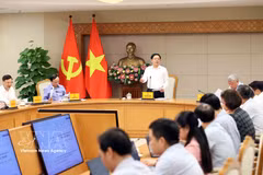 El viceprimer ministro vietnamita Ho Quoc Dung preside la reunión. Foto: VNA