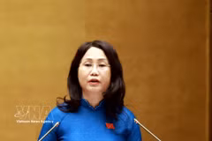 La ministra de Cultura, Deportes y Turismo, Lam Thi Phuong Thanh, presenta informe de explicación, revisión y ajuste del proyecto de Resolución de la Asamblea Nacional sobre el desarrollo de la cultura de Vietnam. (Foto: VNA)