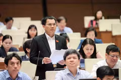 Los delegados discuten los proyectos de ley presentados a la Asamblea Nacional. (Foto: VNA)