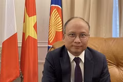 El embajador de Vietnam en Francia, Dinh Toan Thang (Foto: VNA)