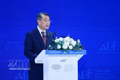 El primer ministro Le Minh Hung habla en el foro. Foto: VNA