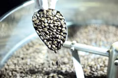 Café es uno de los principales productos exportados de Vietnam a Arrgelia (Fuente: VNA)