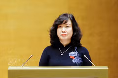 La ministra de Salud, Dao Hong Lan, presenta las propuestas legislativas. (Foto: VNA)