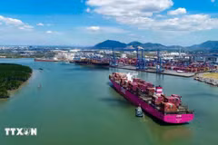 El barco ONE EAGLE pertenece a la nueva ruta de servicio operada por Premier Alliance en el puerto internacional Tan Cang-Cai Mep. (Foto: VNA)
