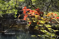 Hue impulsa la conservación y el ecoturismo en el Parque Nacional Bach Ma