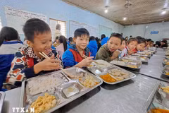 Alumnos del internado de primaria y secundaria Xin Chai para minorías étnicas, en el distrito de Vi Xuyen, provincia de Ha Giang. (Foto: VNA)