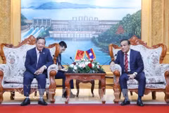 El embajador de Vietnam en Laos, Nguyen Minh Tam, sostiene una reunión de trabajo con Phouthanouphet Xaysombath, miembro del Comité Central del Partido Popular Revolucionario de Laos, secretario del Comité partidista y presidente del Consejo Popular de la provincia de Vientiane. (Foto: VNA)