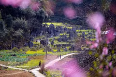 Belleza de la Meseta Kárstica de Dong Van, en la provincia de Tuyen Quang. (Foto: VNA)