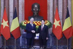 El presidente vietnamita, Luong Cuong, (derecha) y el rey Felipe de Bélgica. (Foto: VNA)